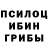Псилоцибиновые грибы Magic Shrooms Larisa Deynega