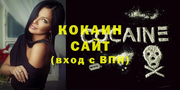 прущая мука Вяземский