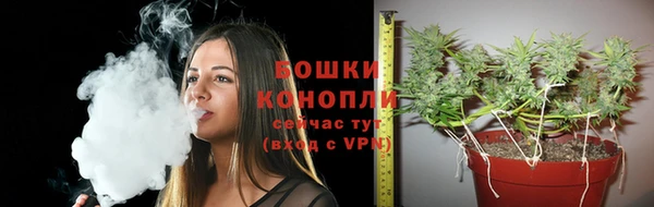 прущая мука Вяземский