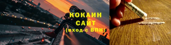 прущая мука Вяземский