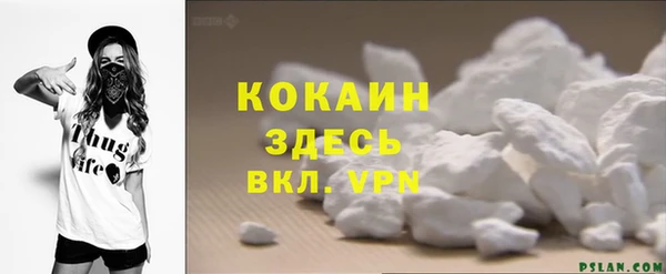 прущая мука Вяземский