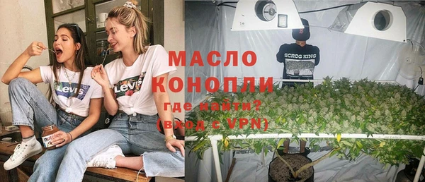 прущая мука Вяземский