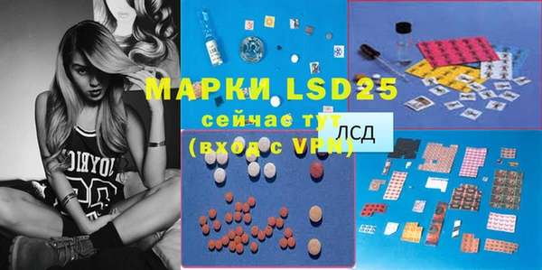 прущая мука Вяземский