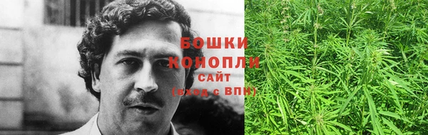ПСИЛОЦИБИНОВЫЕ ГРИБЫ Волосово