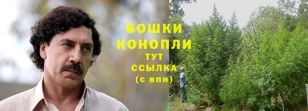 прущая мука Вяземский